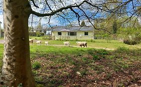 The Bungalow, Forest Of Dean